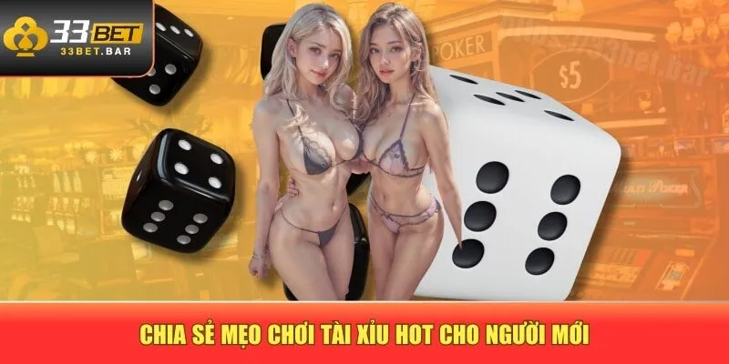 Chia sẻ mẹo chơi tài xỉu hot cho người mới