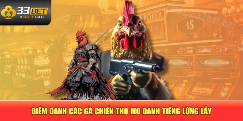 Điểm danh các gà chiến tho mo danh tiếng lừng lẫy