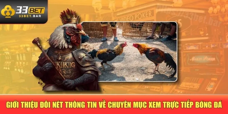Giới thiệu đôi nét thông tin về chuyên mục xem trực tiếp bóng đá