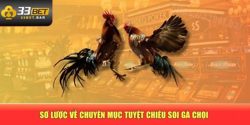 Sơ lược về chuyên mục tuyệt chiêu soi gà chọi