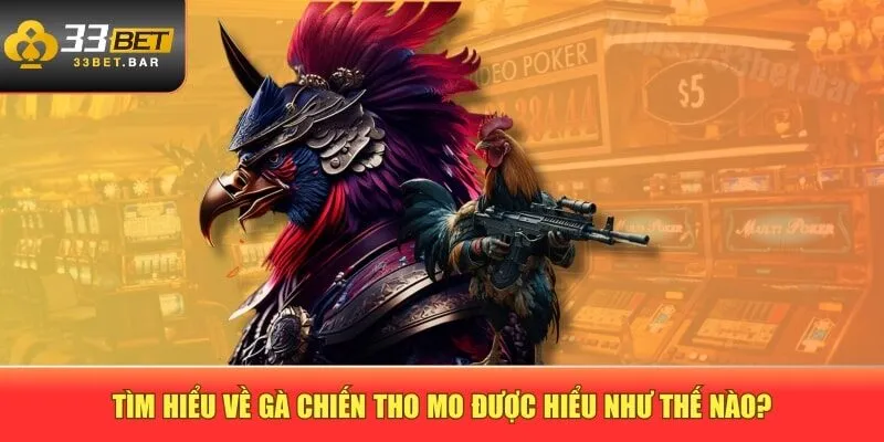 Tìm hiểu về gà chiến tho mo được hiểu như thế nào?