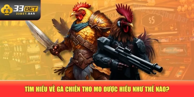 Vì sao 33BET ra mắt chuyên mục cách chọn gà chuẩn?