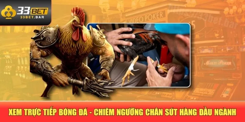 Xem trực tiếp bóng đá